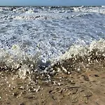 In With Stunning Sea View Διαμέρισμα Οστένδη