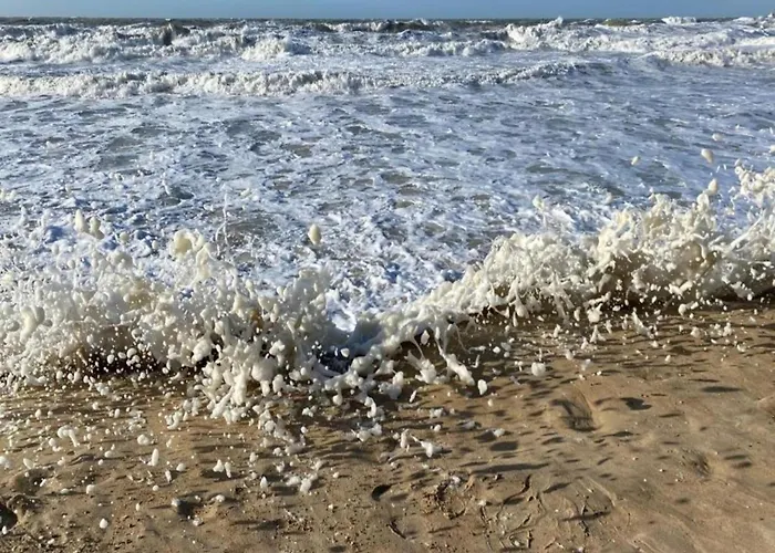 In With Stunning Sea View Апартаменти Остенде